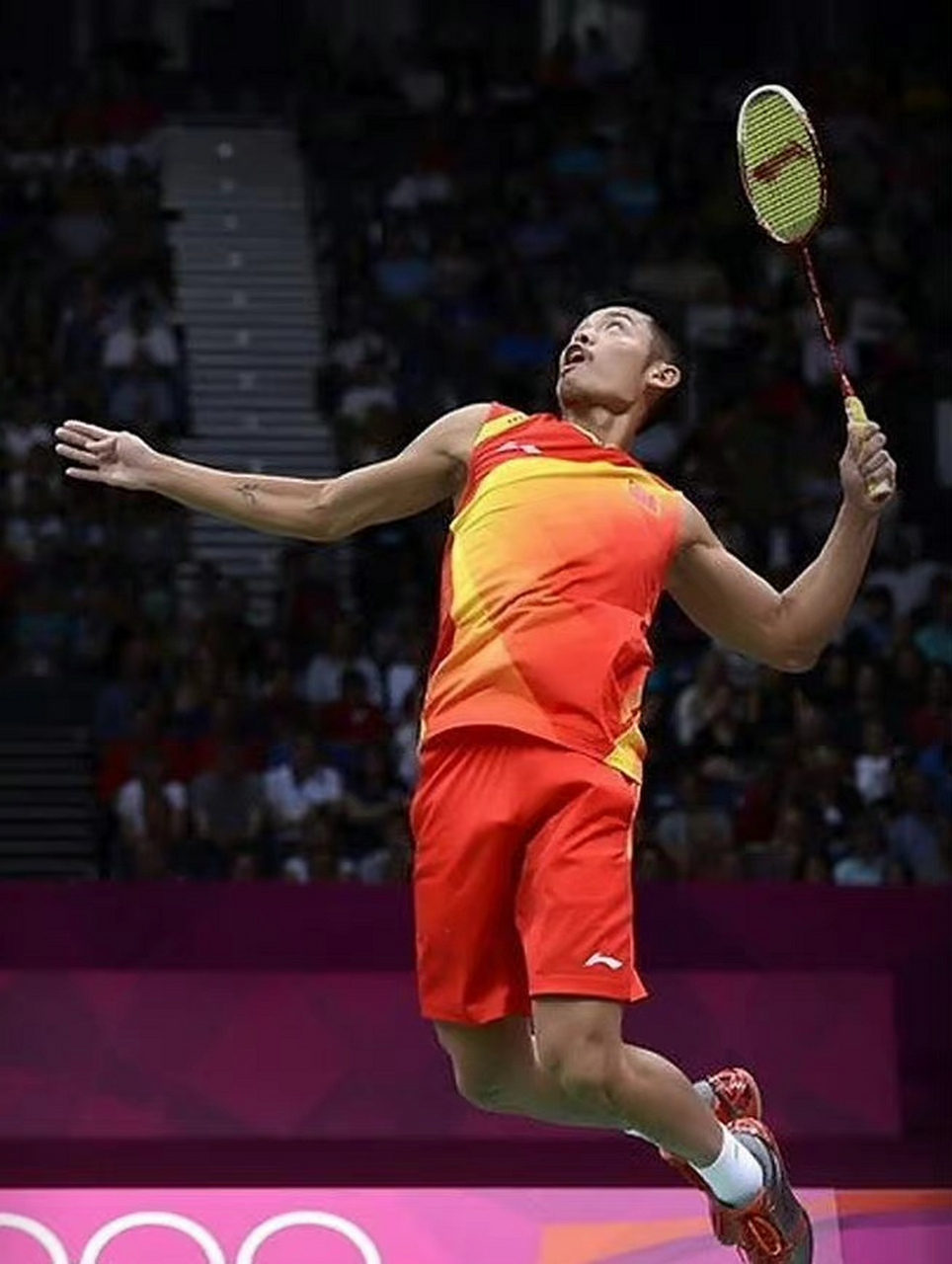 不仅展示了 不仅展示了